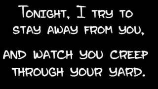 Secret and Whisper - Youth Cats Lyrics