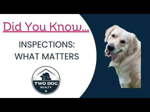 How Home Inspections Can Go Bad: and How to Stop That from Happening — Two Dog Realty video