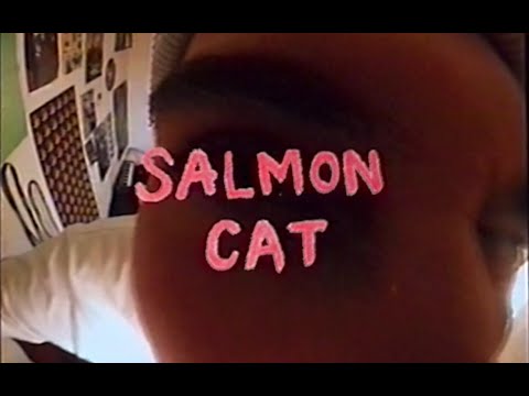 Trip To Düsseldorf - Salmon Cat