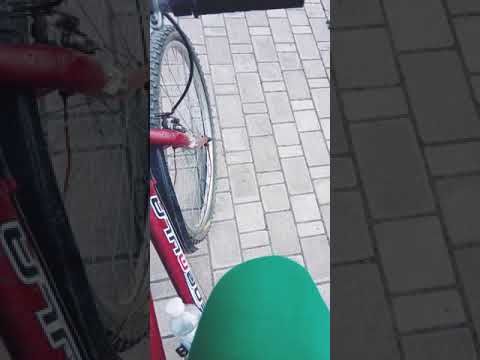 Cosmos... Artic snd Asti..sport musicterapiya