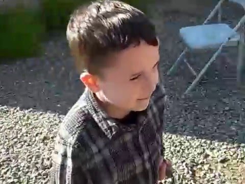 VCA's Strongest Lion Cub