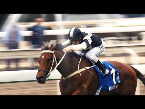 [HK Direct]: Season 21/22 | Meeting 43 | 6 Feb | Exultant returns home