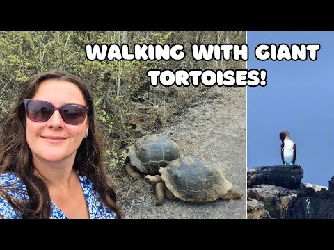 Galápagos Islands Travel Vlog 🇪🇨 Isabela Island | Giant Tortoises, Tunnels Tour & Wildlife