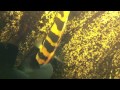 IMG 4084