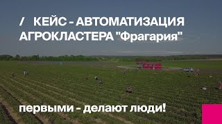 Отзыв о Первом Бите - внедрение 1С:ERP в компании "Фрагария"