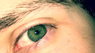 Getting Down the Germs (vocal cover)