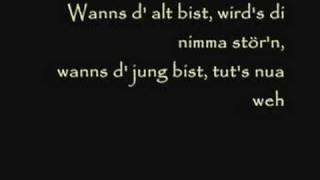 alt und jung - wolfgang ambros