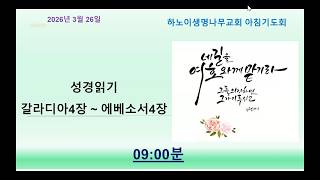 하노이 생명나무교회 3월26일 아침기도회(성경읽기: 갈라디아서 4장 ~ 에베소서 4장)