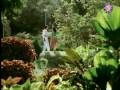 Nooru Nooru Mutham Video Song Indiran Chandiran Kamal Haasan Vijayashanti Mano Chithra