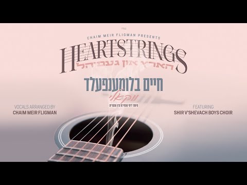 Vocal Heartstrings Album by Chaim Blumenfeld & Chaim Meir Fligman feat. Shir V'Shevach