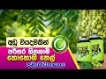 ජෛව පළිඛොධ නාෂක BST Practical Biosystems Technology BST SAMAN Bio Pesticid