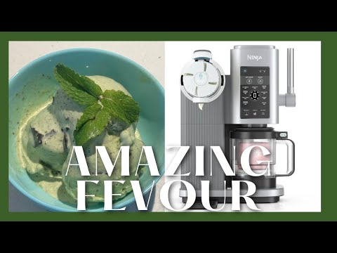 🌱 Vegan Mint Chocolate Chip Ice Cream | Creamy & Healthy with Ninja Swirl by Creami (Scoop Mode)