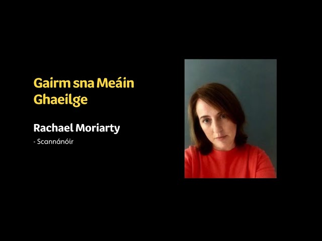 Gairm sna Me�in Ghaeilge - Scr�bhneoir & Scann�n�ir