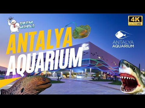 Antalya Aquarium