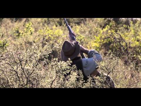 download lagu mp3 mp4 Taubenjagd Argentinien, download lagu Taubenjagd Argentinien gratis, unduh video klip Taubenjagd Argentinien