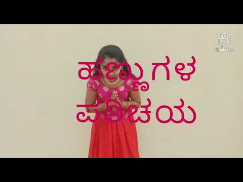 All about fruits by Parinita in kannada.