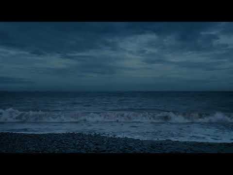 MAISON ROYALE - Let Your Body Fly (visual)