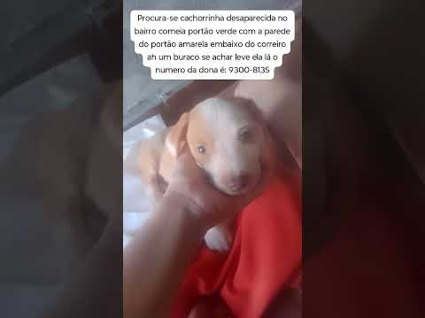 em jatai goias