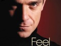Robbie Williams- Karaoke/Instrumental-Feel 