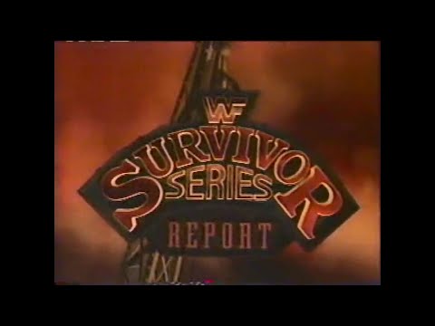 Survivor Series 1993 Report
