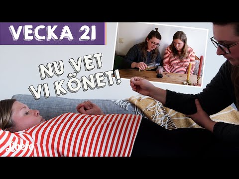 Ska vi få en flicka eller pojke? - Johanna & Lina vecka 21