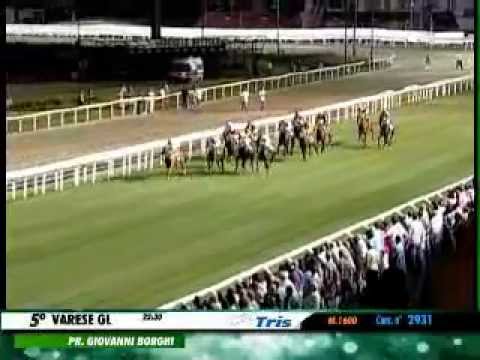 Premio Giovanni Borghi 2013 (HANDICAP PRINCIPALE)