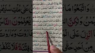 Download lagu Surah Al Baqarah 102 Ayat Part 1 🌹🕊️ #quran #tilawat #recitation mp3
