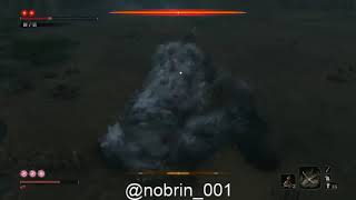 【sekiro】すまん、久々にキレちまったよ