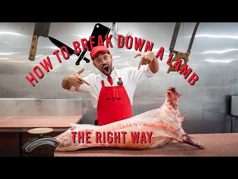 How to break down a lamb, The right way! 🥩