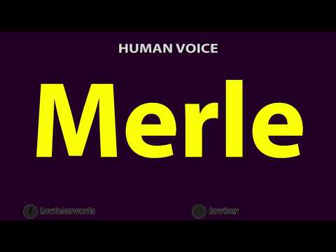 How To Pronounce Merle