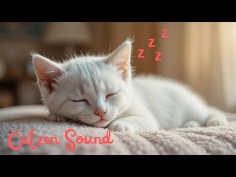 Meditation with Cats???? – Relaxing Purring & Zen Music????????