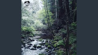 Cover art for i fell in love with her