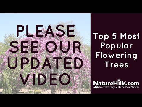 Older Video | Top 5 Most Popular Flowering Trees | NatureHills.com