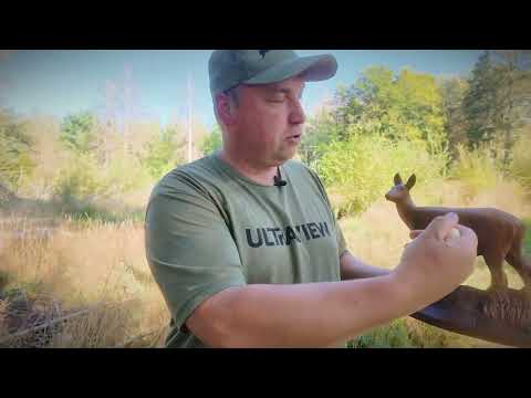 Bogenjagdprofi 3D Anatomie Reh. Perfekt für die Aus- und Weiterbildung in Sachen Jagd und Bogenjagd.