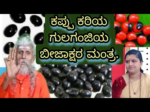 Naga Srusti 2012 and O Mass NS 2012