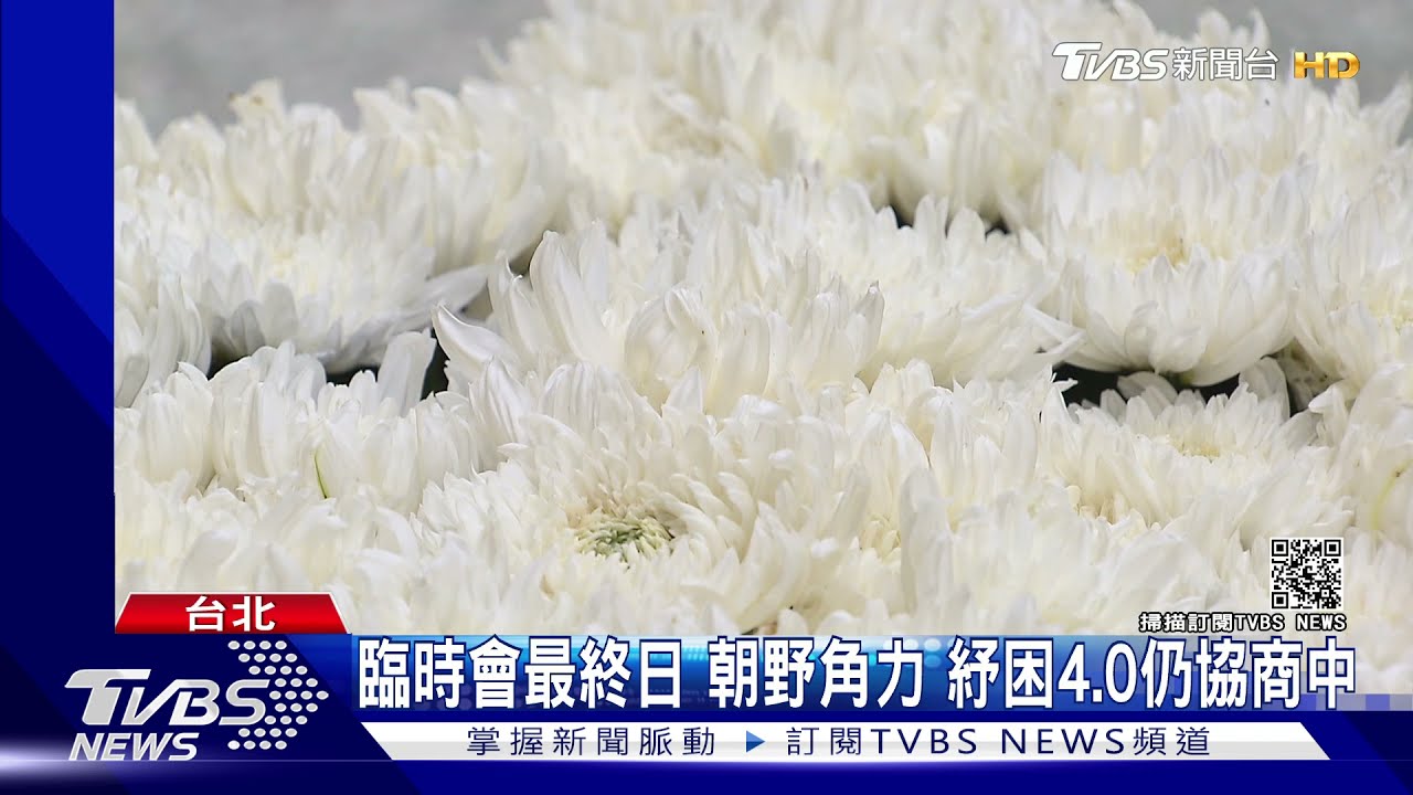 臨時會最終日紓困4.0協商　藍拿「白菊花」這麼做
