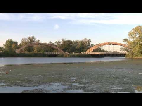Overpeck Creek Weeds Leonia