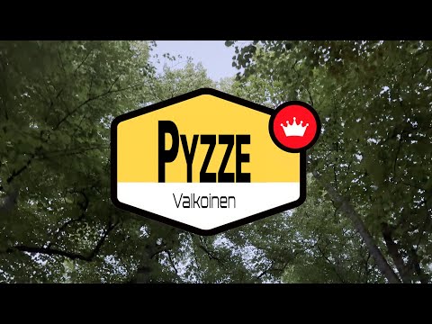 Pyzze - Valkoinen (Official Music Video)