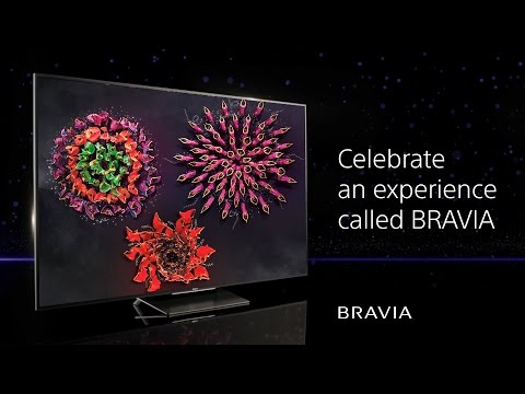 Celebrate an Experience Called BRAVIA
