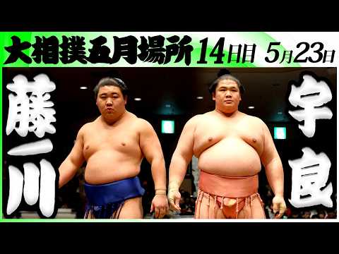 大相撲 藤ノ川ー宇良<令和8年五月場所・14日目>SUMO