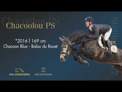 Chacoolou PS - Jumping Collection Schockemoehle & Helgstrand 2022 (ENG)