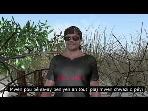 FELHO DENIS - DEBARE Ft. CHARLY LERANDY