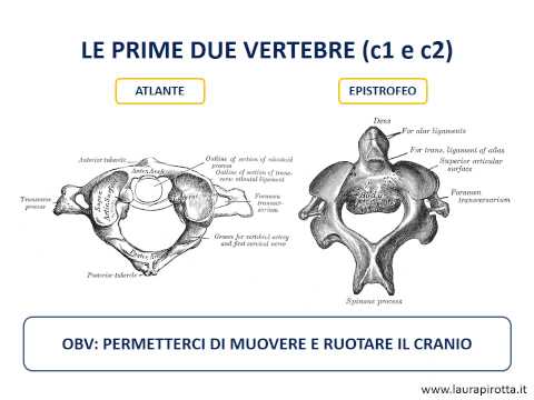 Il punto di proiezione delle articolazioni dellanca Pomata gonfiore e dolore alle articolazioni