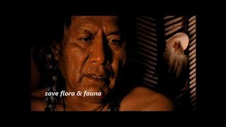 Buffy Sainte Marie -  Starwalker