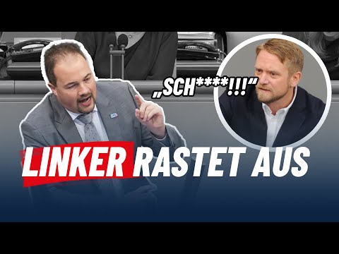 🤦‍♂️Geschimpfe im Bundestag: LINKE verliert die Fassung.