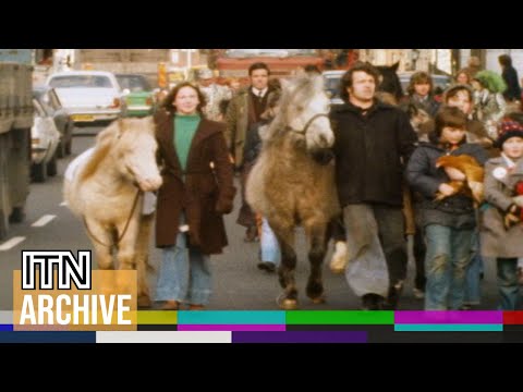 1978: People Power Saves Islington City Farm