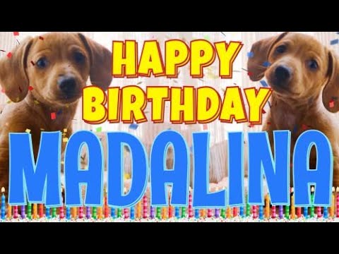 Happy Birthday Madalina! ( Funny Talking Dogs ) What Is Free On My Birthday