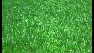 Underworld - Bird 1 (Robert Sancho Remix)