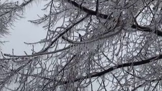 preview picture of video 'Early February 2014 Ice Storm'