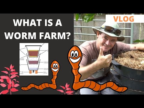 What is a WORM FARM?